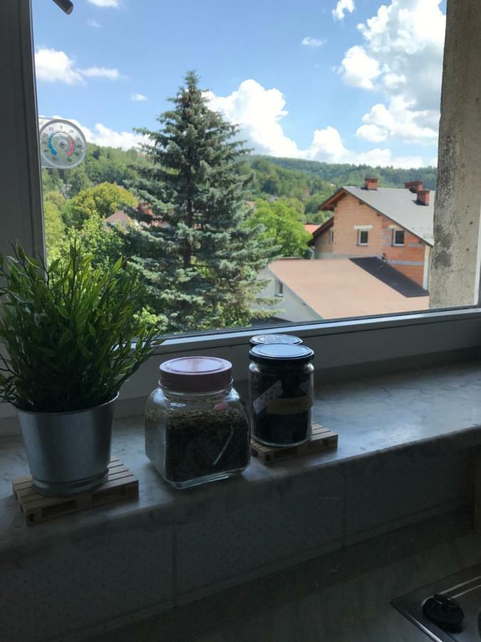 Apartament Przy Rynku Wisła Eksteriør bilde